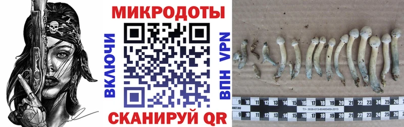 Псилоцибиновые грибы Cubensis  купить наркотики сайты  OMG tor  Кизел 